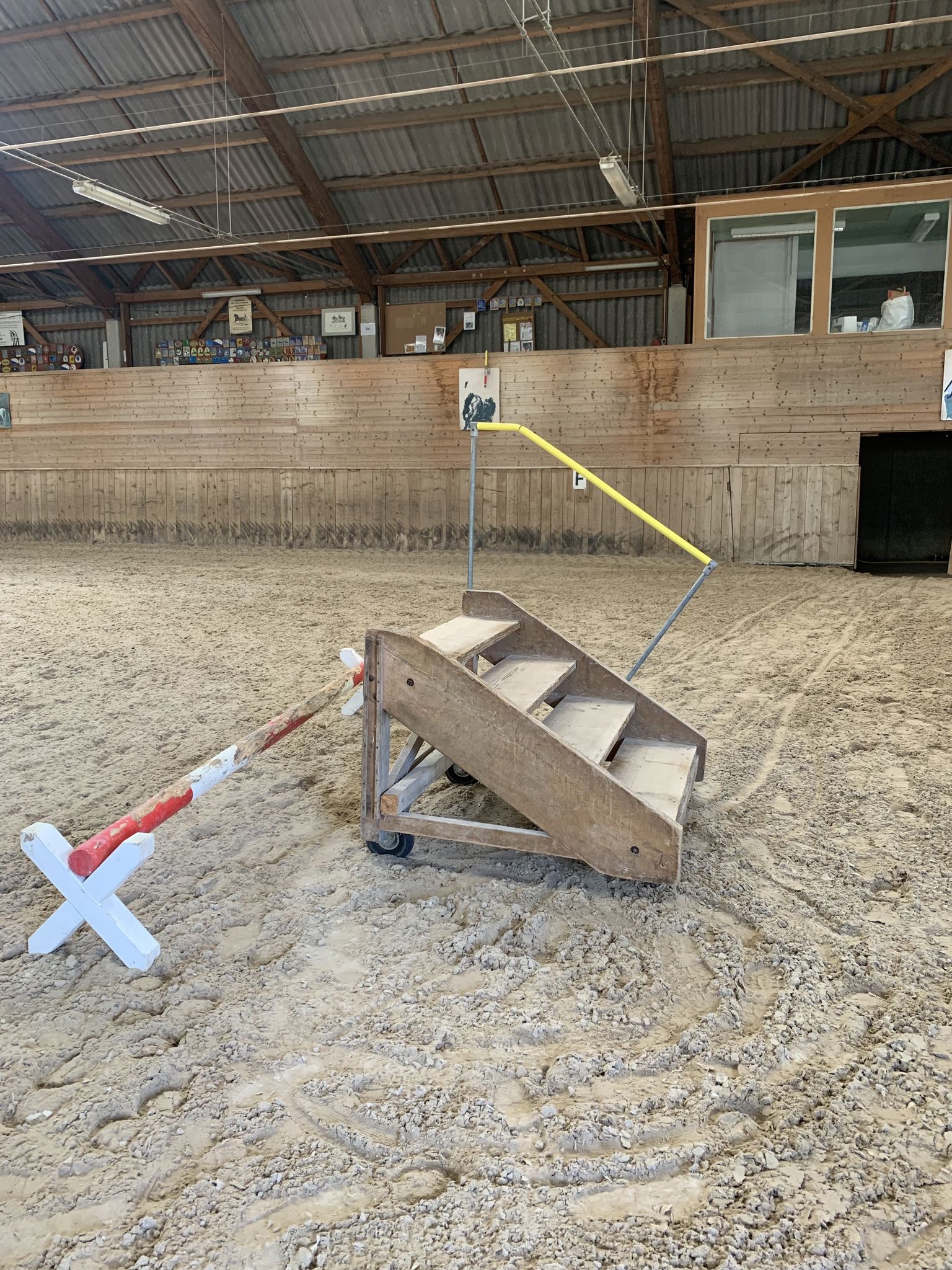 Tanne_Stable1