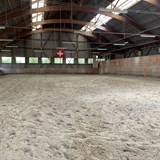 Tanne_Stable