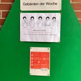 Tanne_Signlanguage