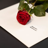 CHRISTIAN-KREBS-PHOTOGRAPHY_PHZ-Diplomfeier-20.03.2025_Online-172