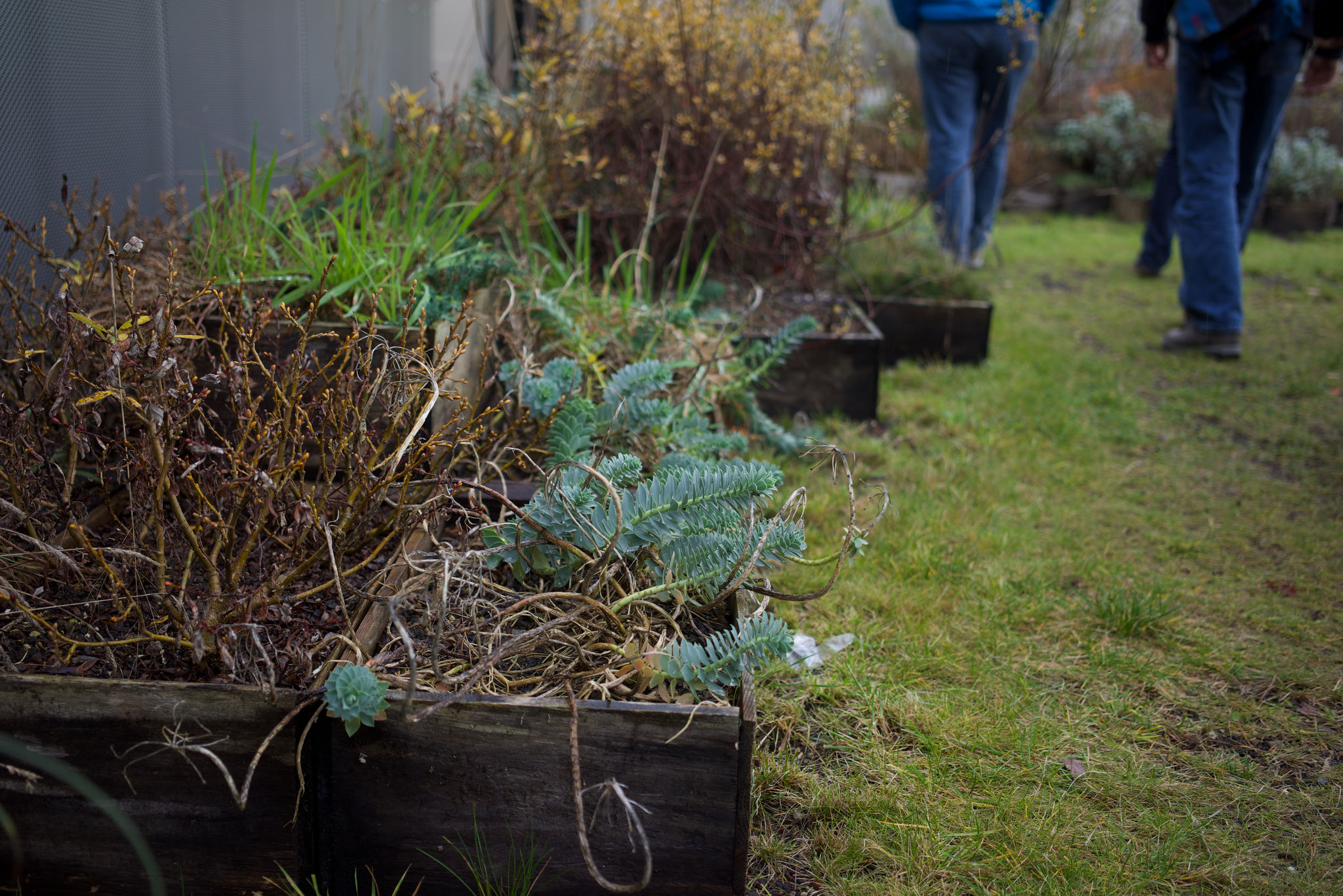 Urban farming on the roof