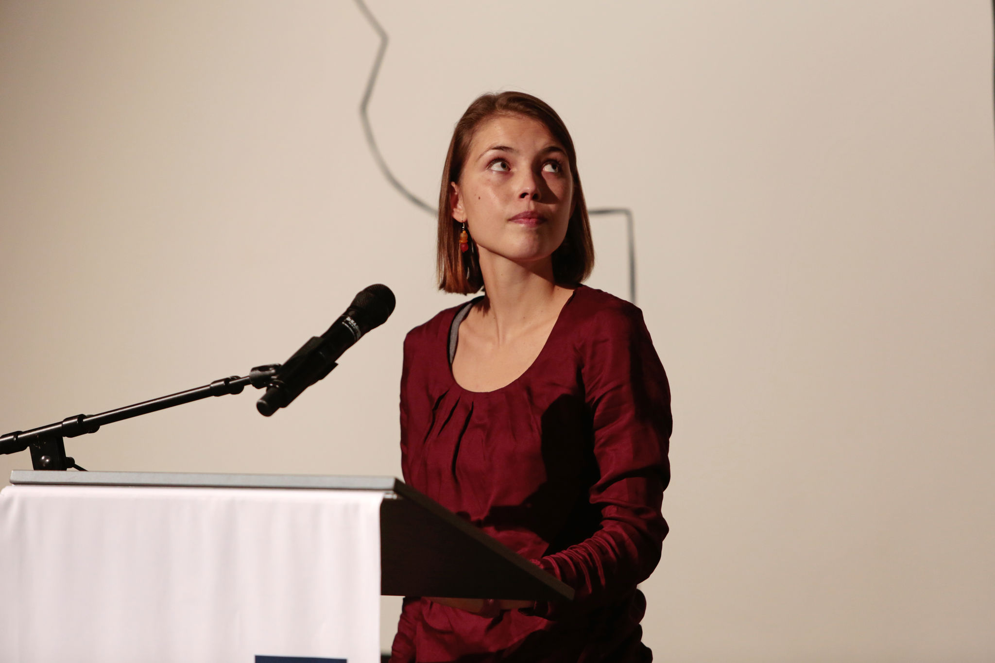 Podium Pestalozzianum «Krieg und Schule» 