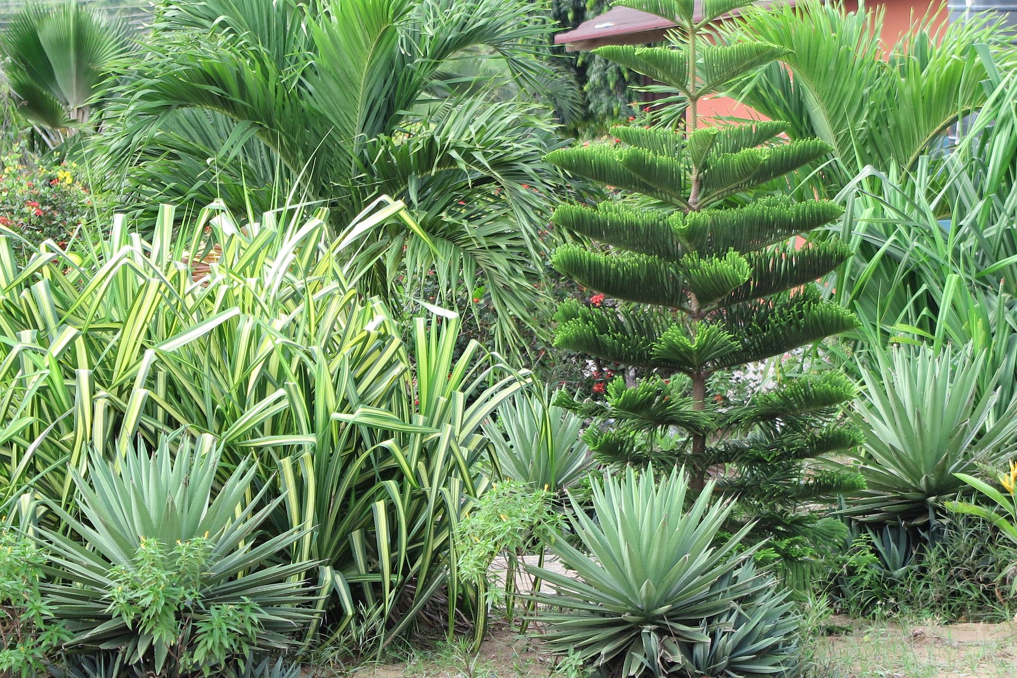 Im "Kinderparadise" gibt es einen wunderschönen Garten.