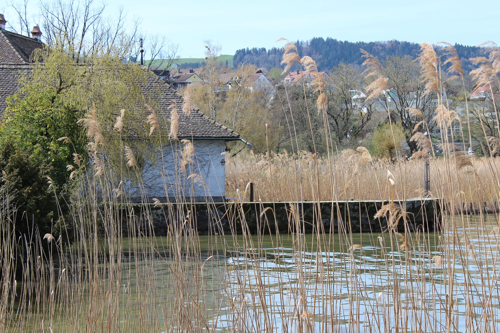 Schloss Au 